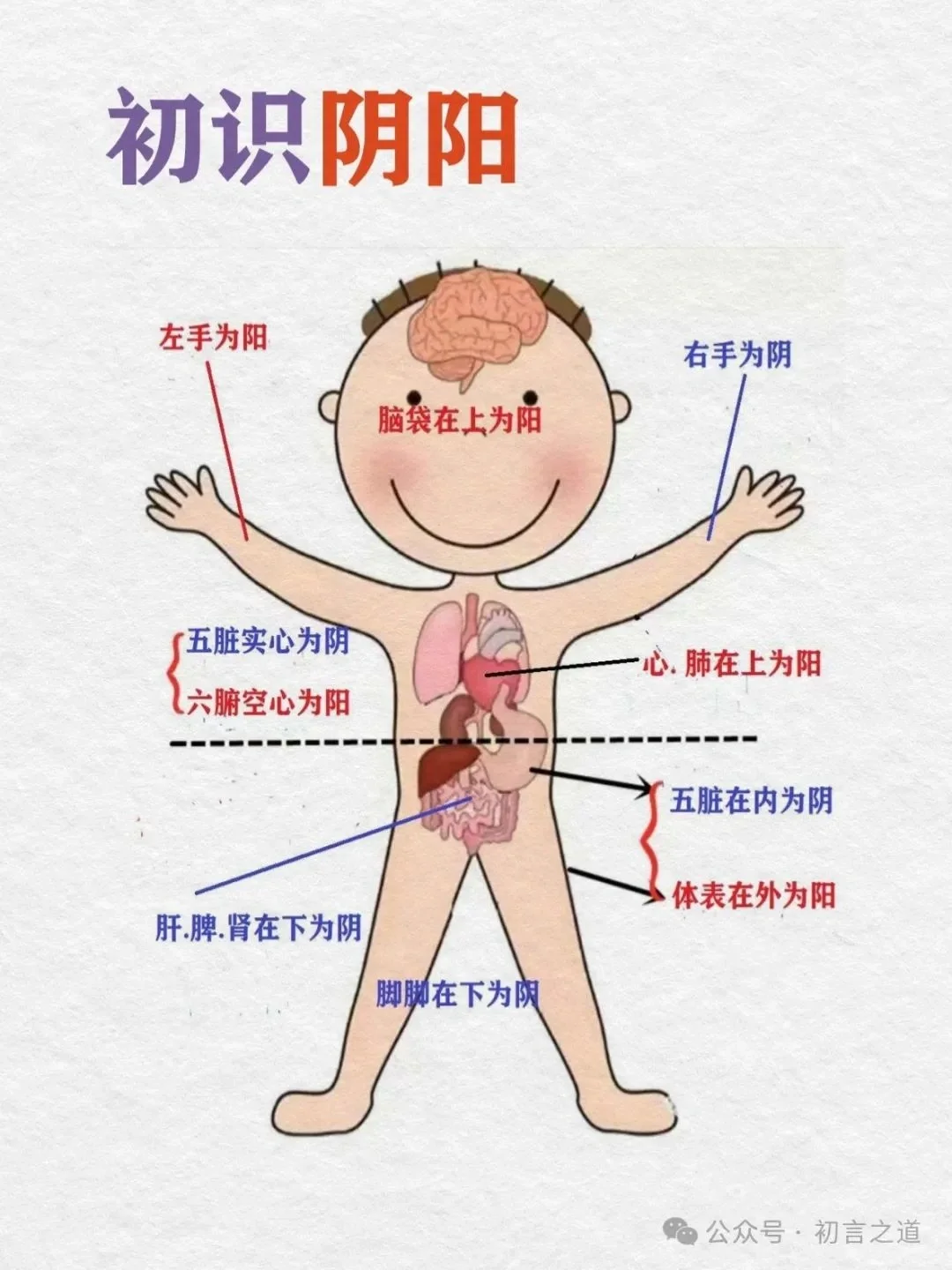 01.初识阴阳｜阴阳一调百病消..