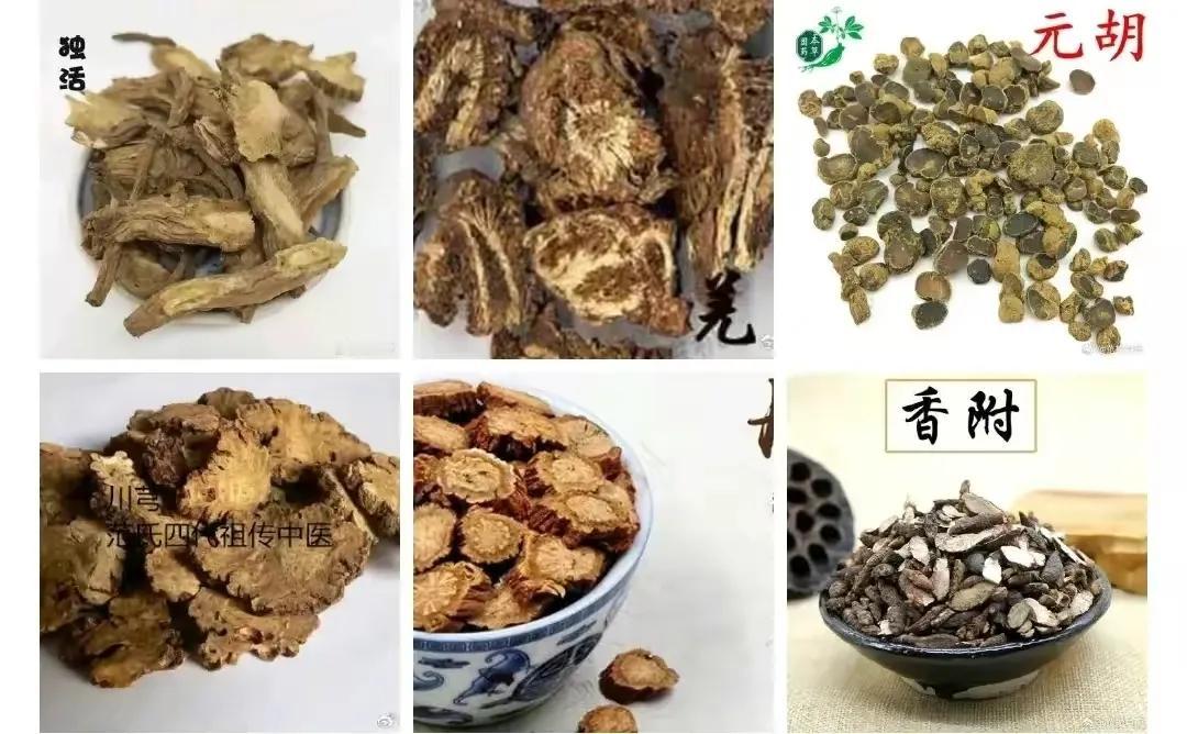 你是否曾经因为各种疼痛而烦恼？今天就来给大家介绍中药里的各种止痛药，让你轻松摆脱