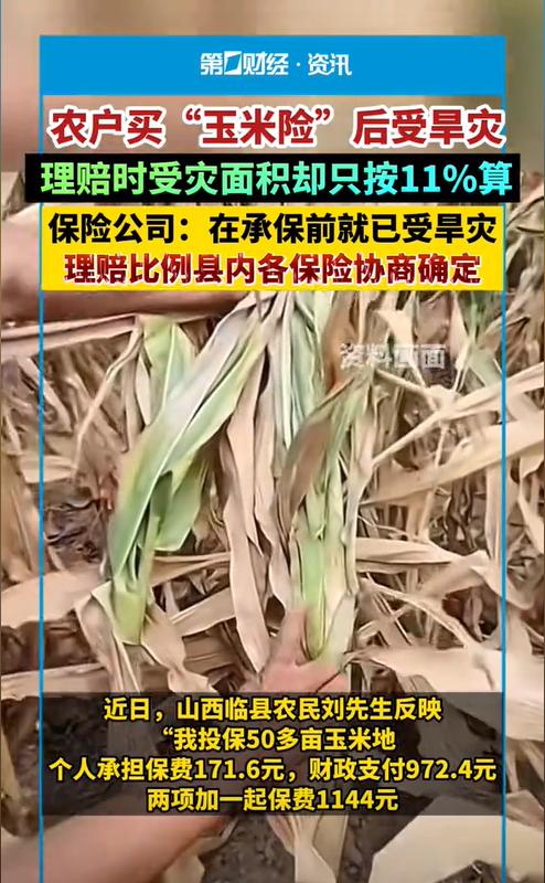 山西临县，男子投保了50余亩玉米地，保费一共63745元。然而男子投保当年遭遇旱
