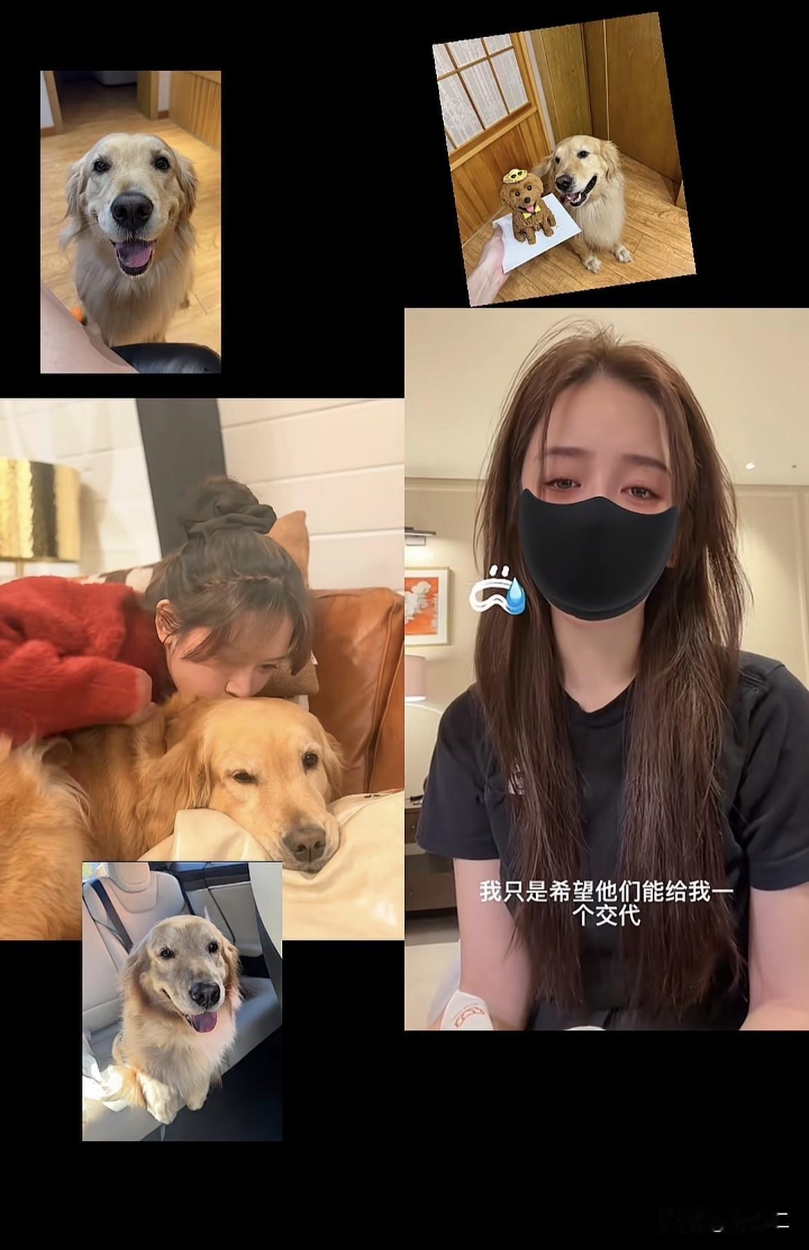 看完大韩航空金毛事件，心里真的堵得慌完整捋完这件事，真的特别能共情这位女士的委屈