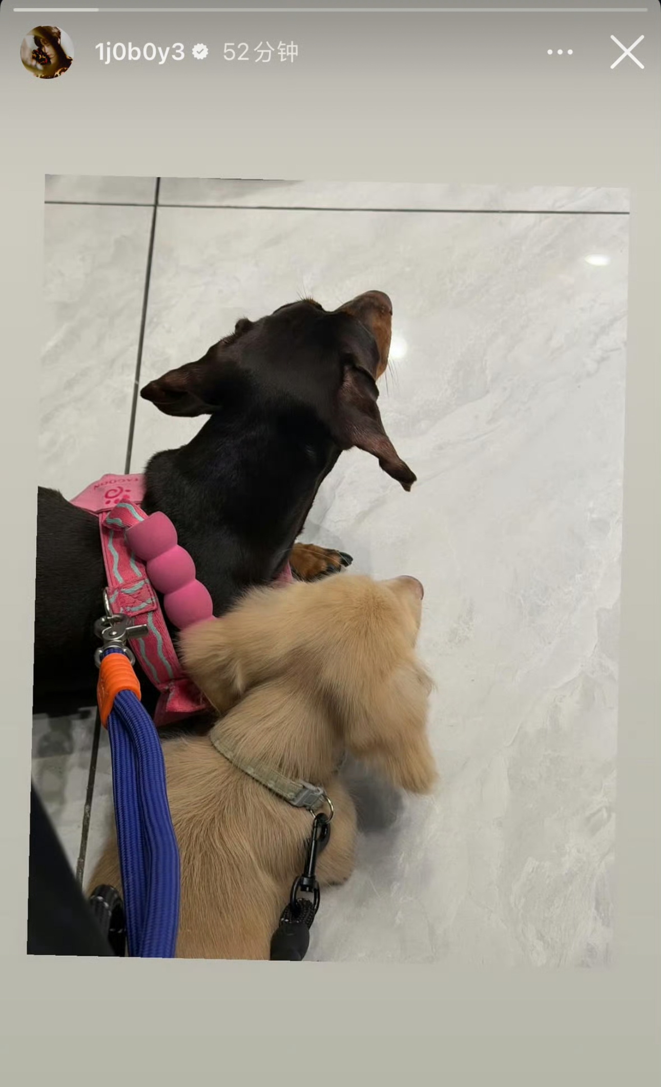 三个长中庭一起出现在街上什么意思，不知道最近是中元节？ ​​​