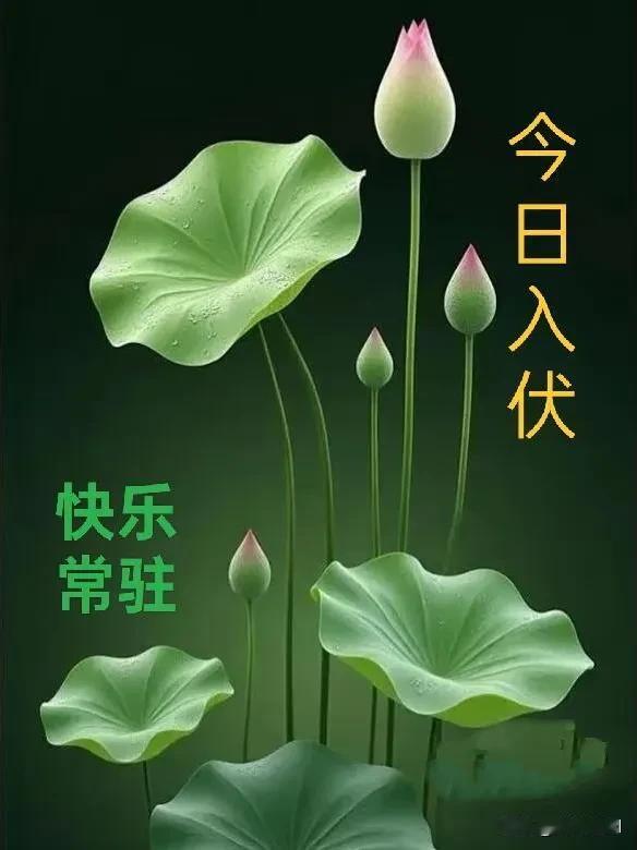 早安，今日入伏。愿清风常伴，暑气不扰，心静自然凉，万事皆安康
