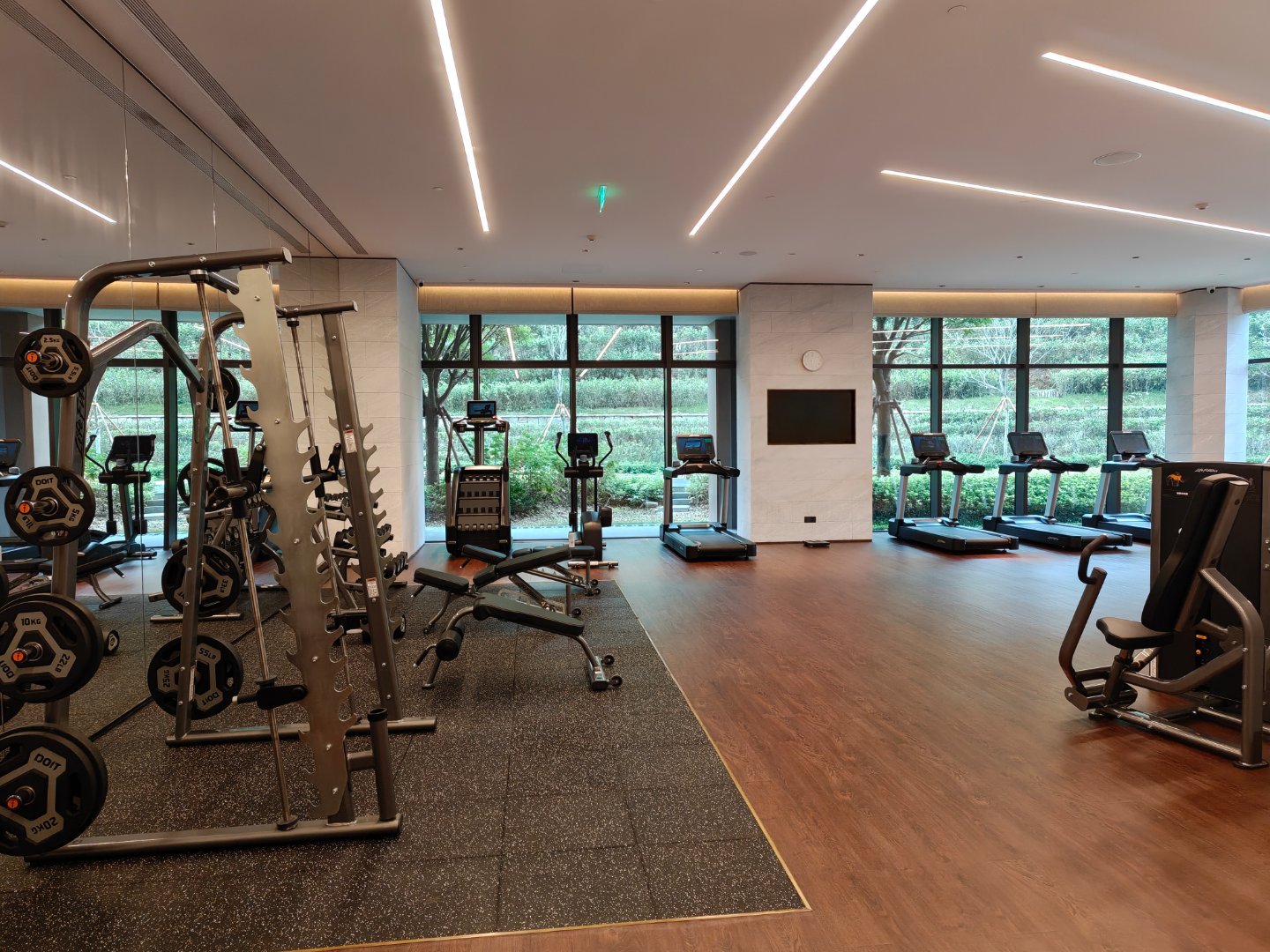 撸铁了，练胸不过这里的健身房只有 20KG 的哑铃，也没有杠铃卧推。原本人感觉很