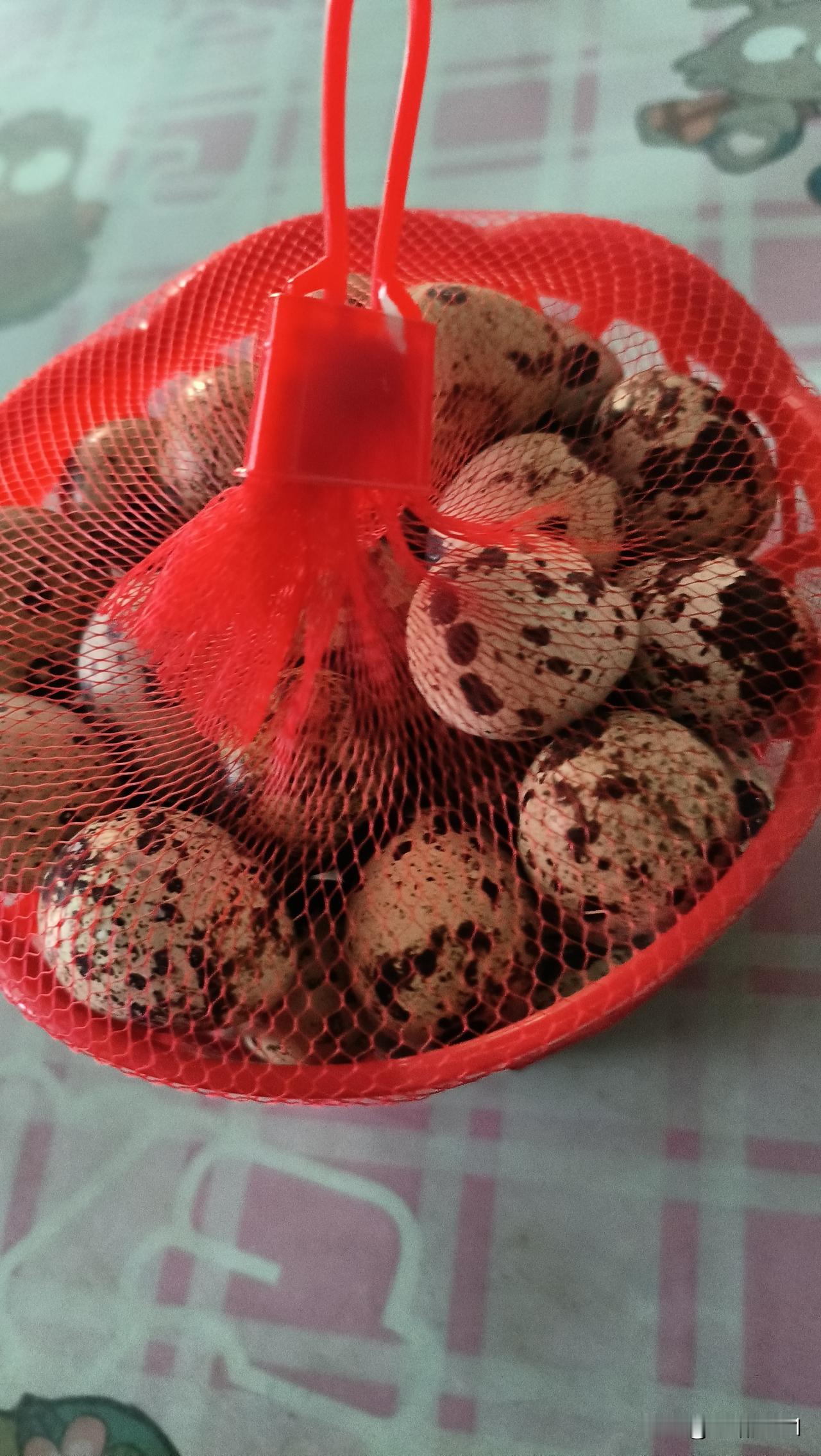 被队友气得肺要炸裂，由于五月一日，买了菜因我理解错误，没等到女儿他们，这四号来队