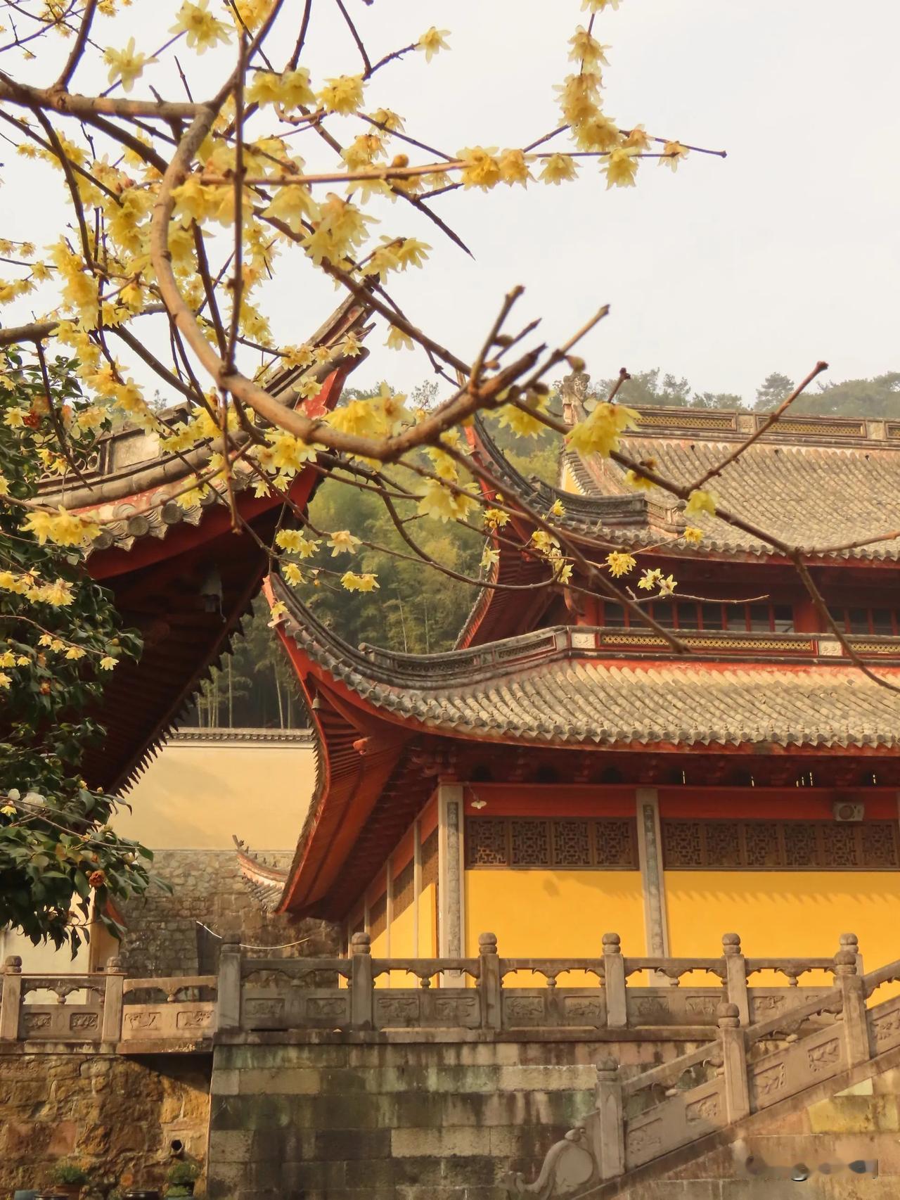 探秘古寺，穿越千年时光，感受宁静与肃穆。阿育王寺