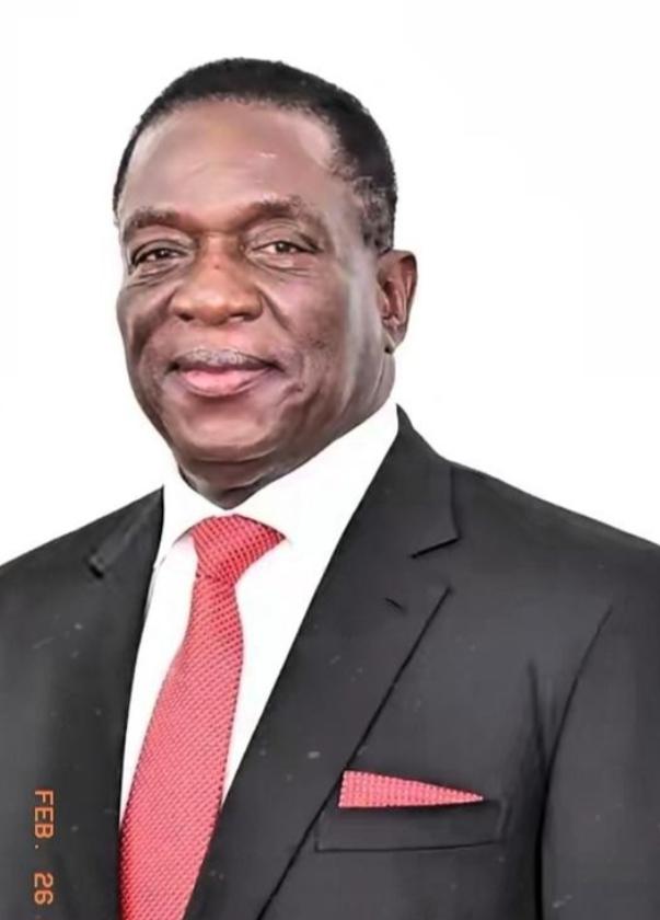 津巴布韦这一纸锂矿出口禁令，据说直接把国内锂产业链的生死线划死了！没有缓冲，没有