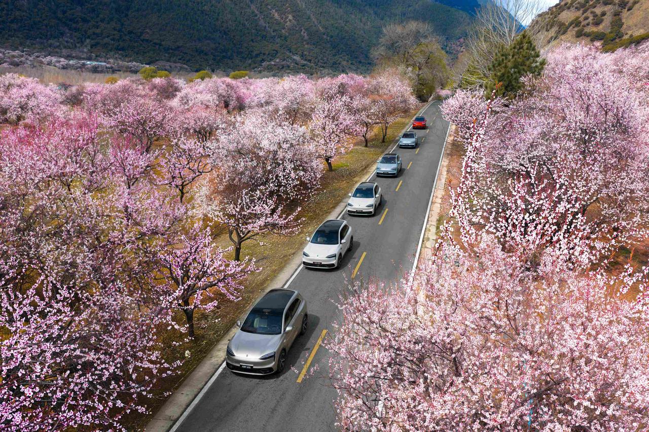 很多人纠结智驾好不好用，看问界M6的林芝实测就有了答案：靠谱，比什么都重要。这一