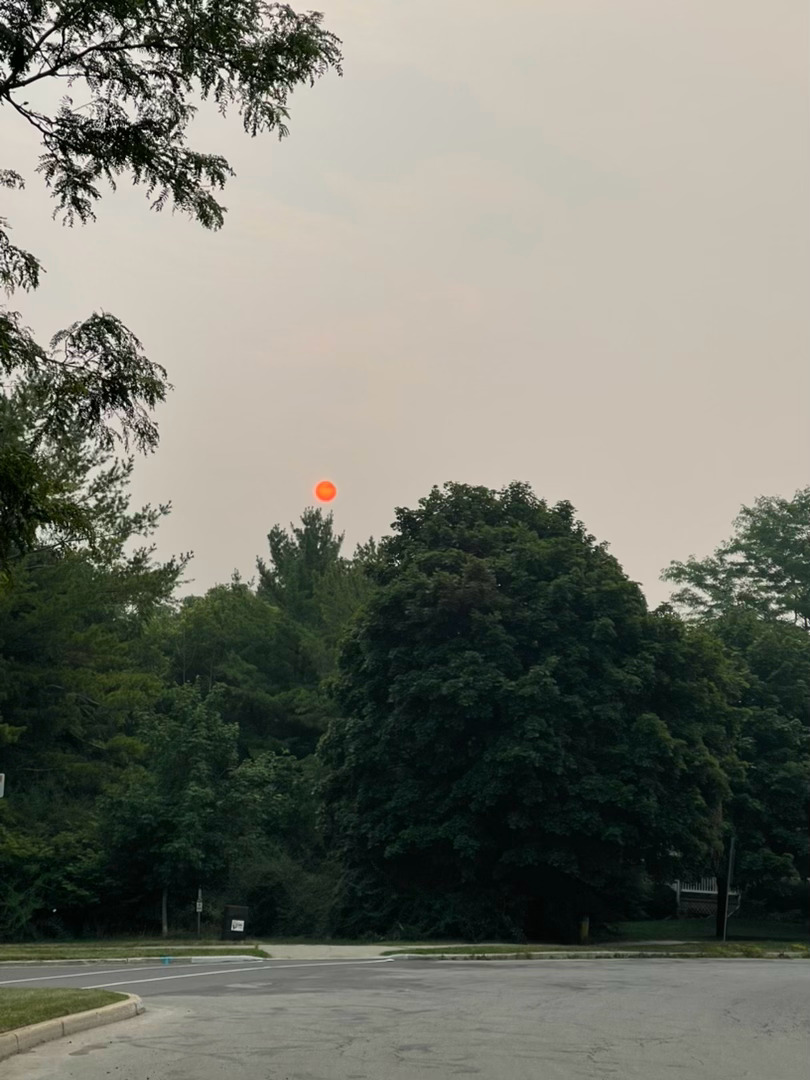前几天的高温天气，导致安大略省北部森林自燃引起大火，空气极度污染，一路南下到多伦
