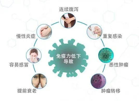 提高免疫力，从补气开始：五大中成药助力全身阳气充盈

在追求健康生活的道路上，提
