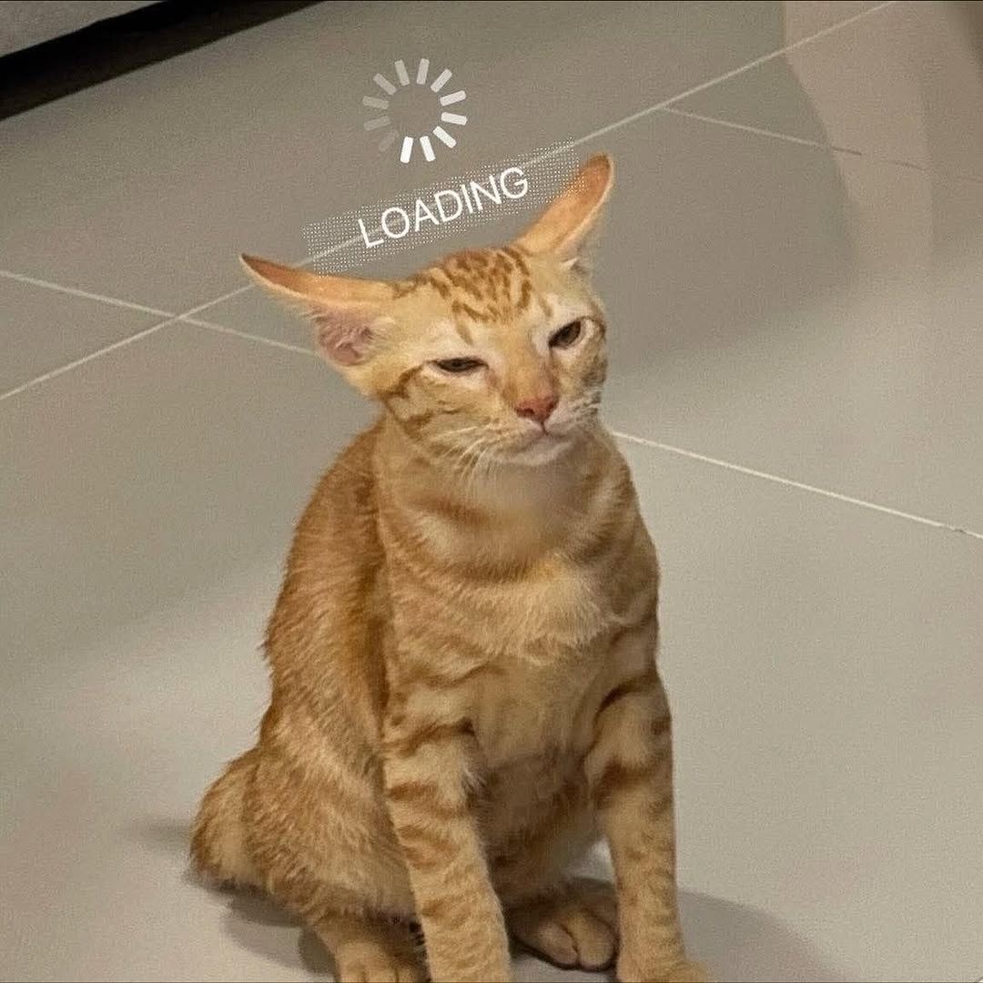 每天早上的我： ​​​