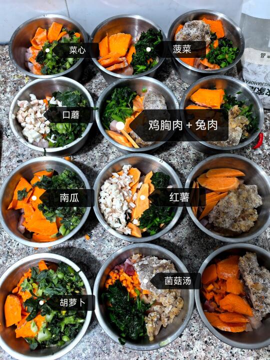 2只10岁泰迪🐶每周备餐