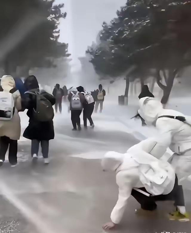 东北冬天的冰面，哪是走路啊？分明是一场自带“刹车”的平衡大挑战！头夜的雪被踩实冻