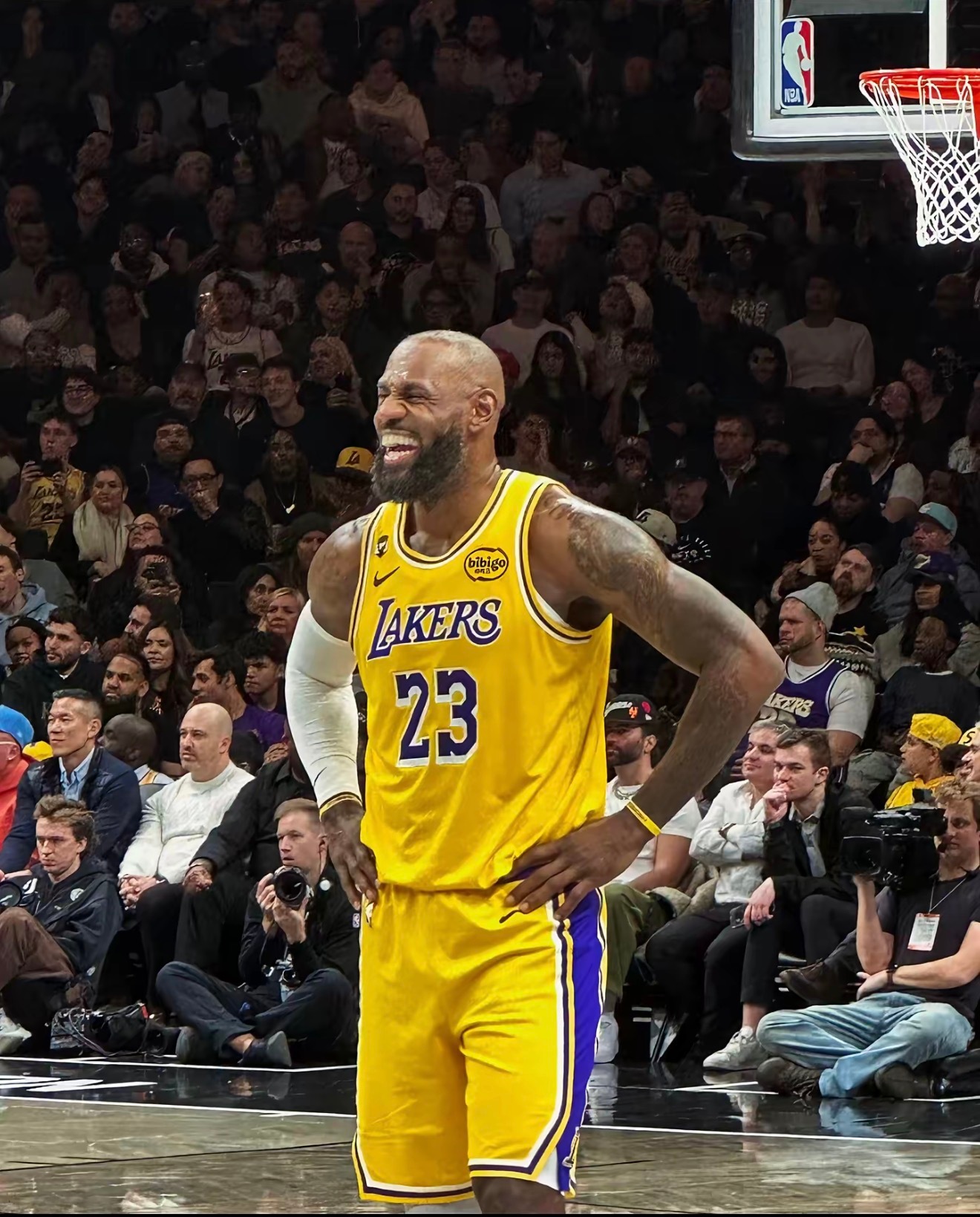 开开心心詹姆斯