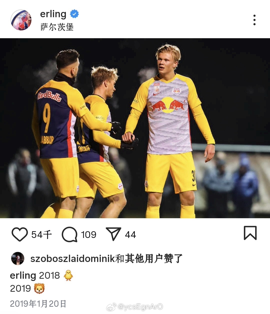 妈呀这人怎么小鸡塑自己！🐥→🦁 