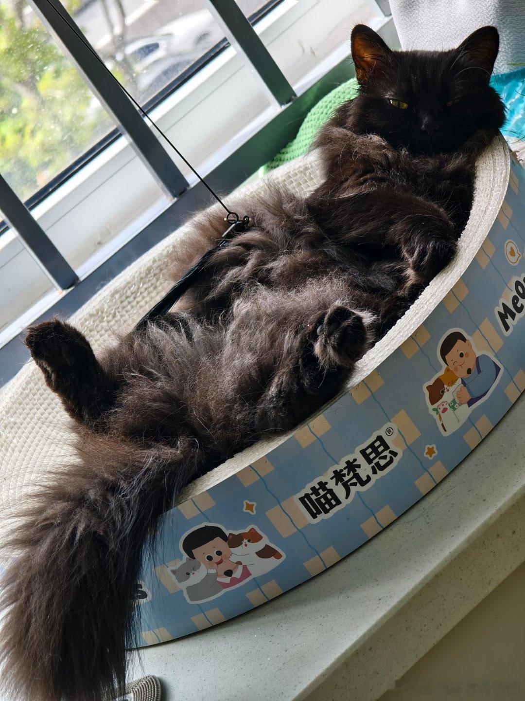 是不是有点过于奔放了 