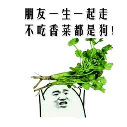 香菜是无辜的我爱吃香菜 [送花花]讨厌一切虚伪的人代露娃持续掉粉 ​​​