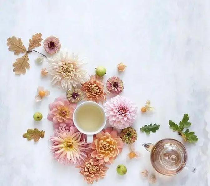 今天就是冬至了，一年里白昼最短、黑夜最长的一天，从这天起，阳气开始慢慢回升，白天