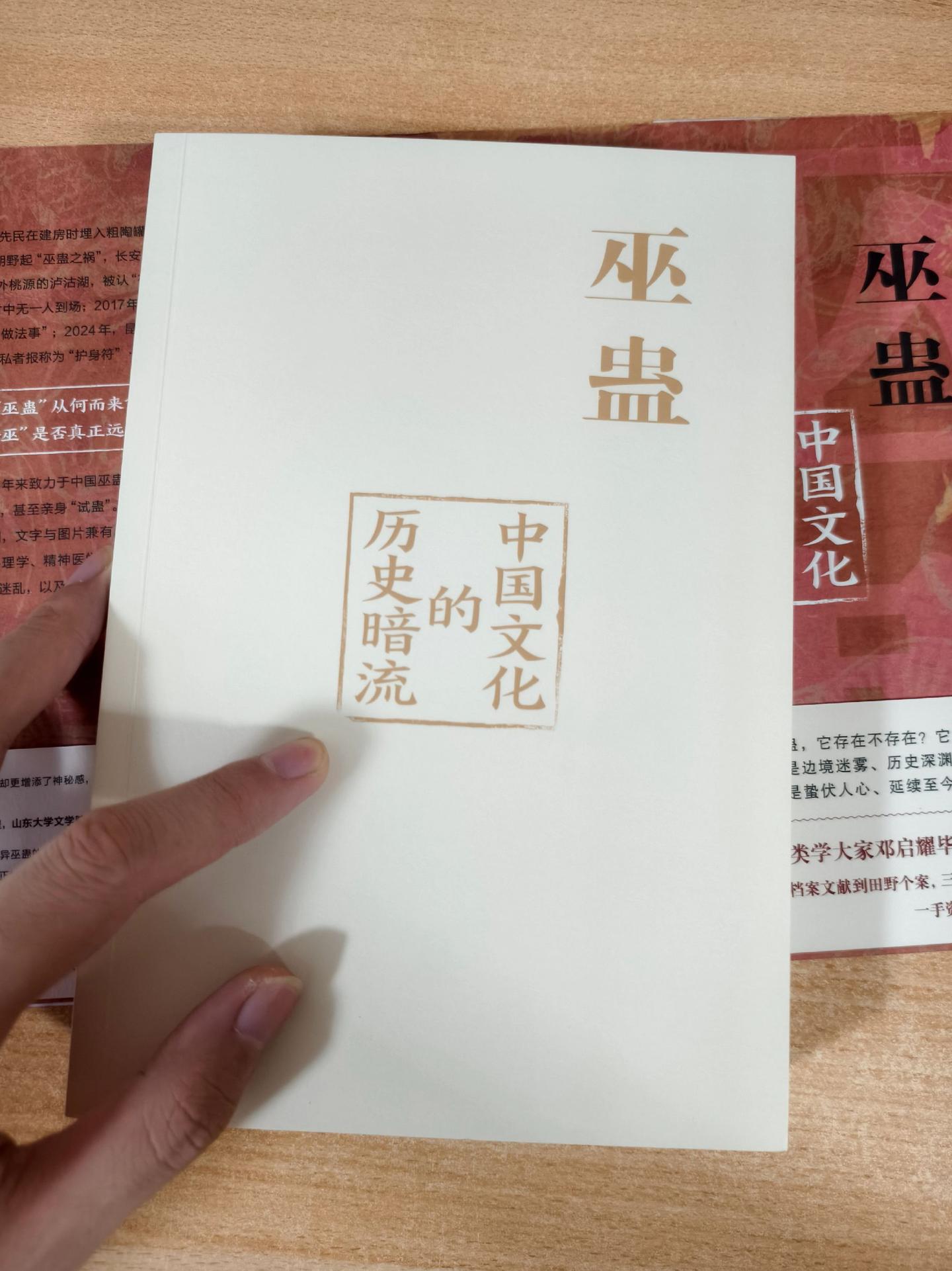《巫蛊——中国文化的历史暗流》作者：邓启耀
