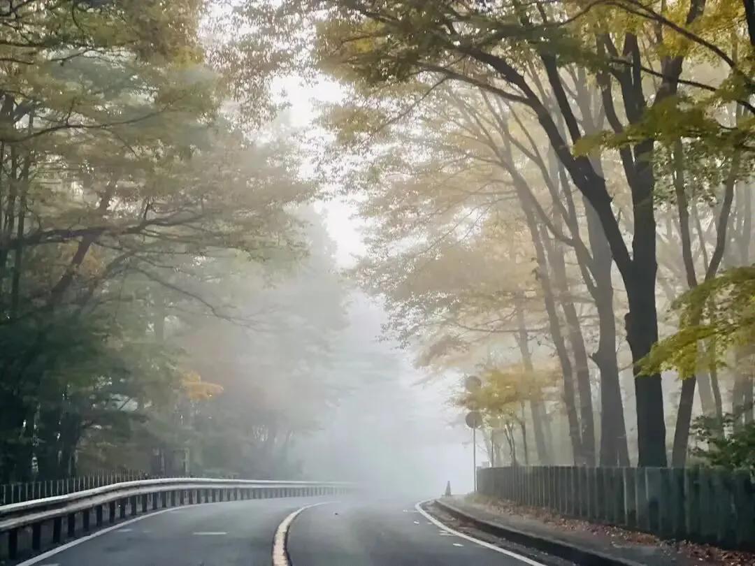 《迷雾》

迷 雾 八 方 萦，
难 分 百 丈 清。
身 临 其 境 处，
眼