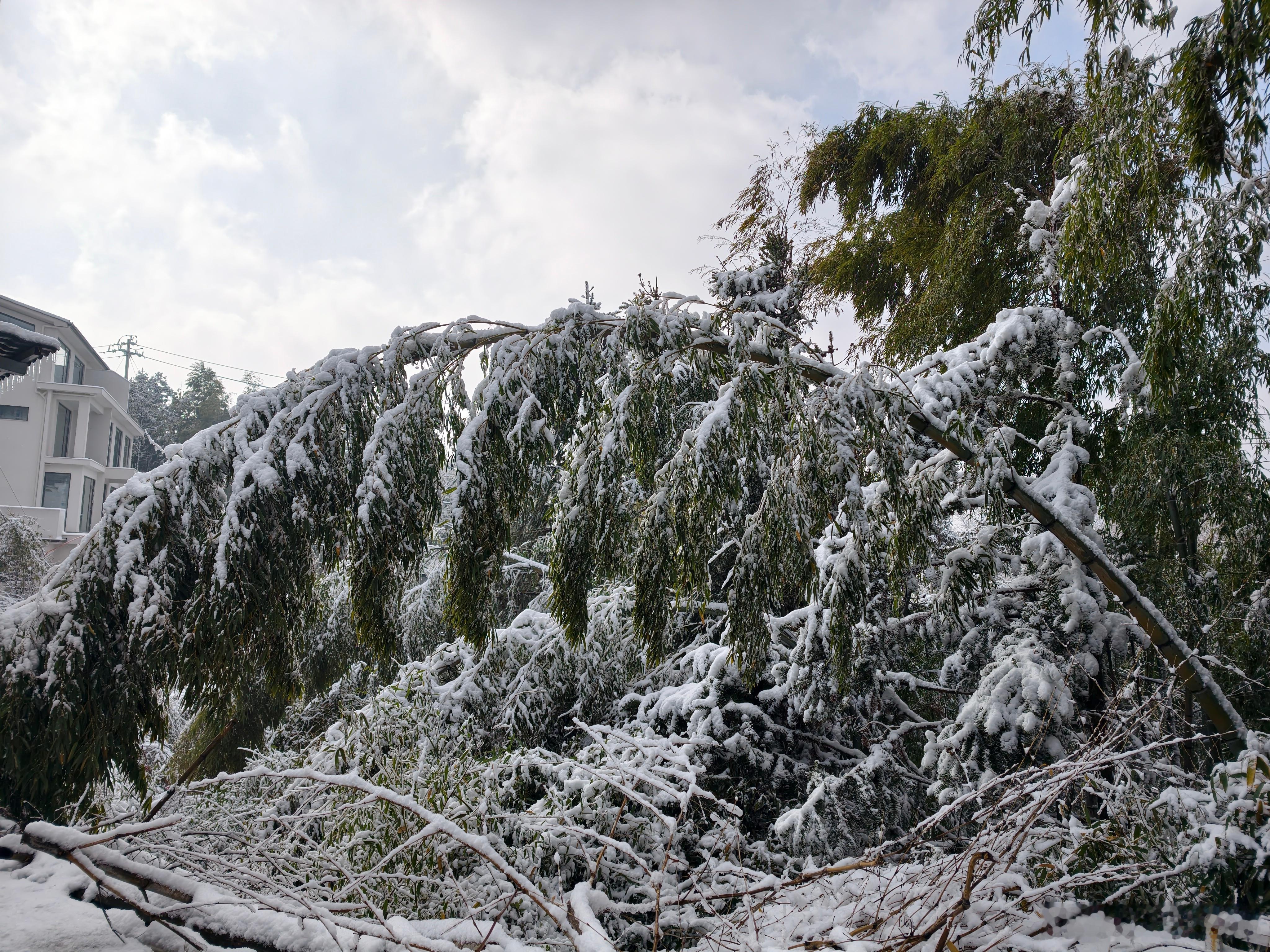 参加了一个新车试驾会，一半油车，一半新能源。我感觉这些资深媒体老师开惯了新能源车