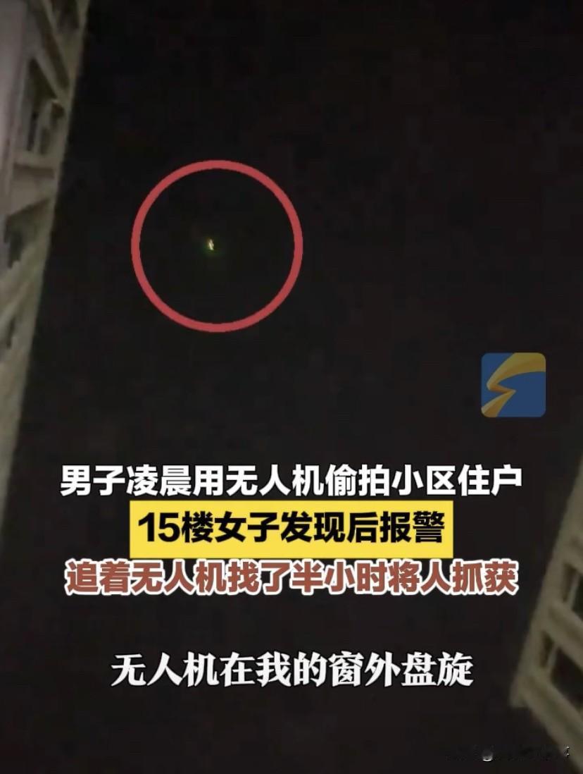 浙江杭州，女子家住15楼，晚上在家休息时，就听到窗外传来“嗡嗡”的声音，往外一看