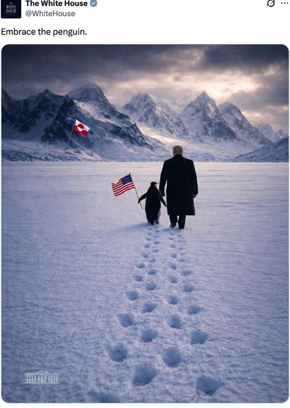 很多人都说特朗普连基本的地理常识都不懂，格陵兰岛属于北极，北极没企鹅。我认为这个