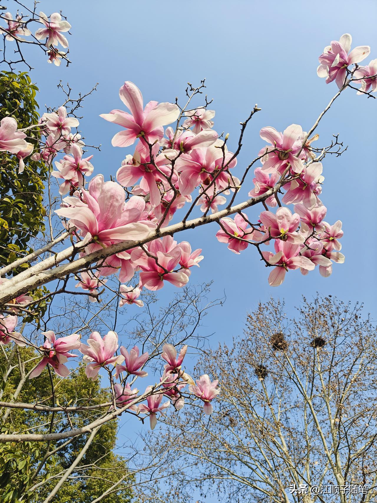 想通了，日子怎么开心怎么过，犯不着讨谁欢心。
真心喜欢我的自然会留，看不上我的也
