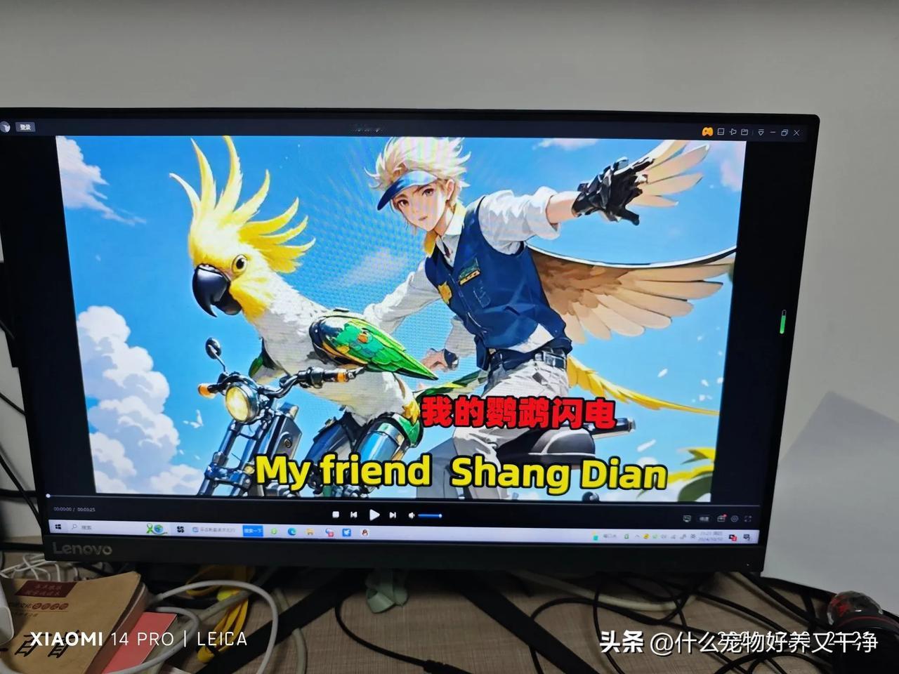 #如何选择适合家庭的宠物#我养的小鸟，可以唱歌说话，还可以放飞，追着我的电动车飞