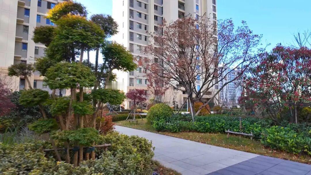 近日，青岛市崂山区中韩街道张村河南安置区和合家苑小区获评“2025年中国土木工程