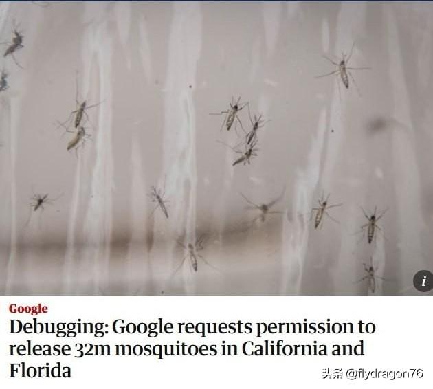 [恐惧]🇺🇸 Google 计划在美国释放数百万只“受感染”的蚊子

据《卫
