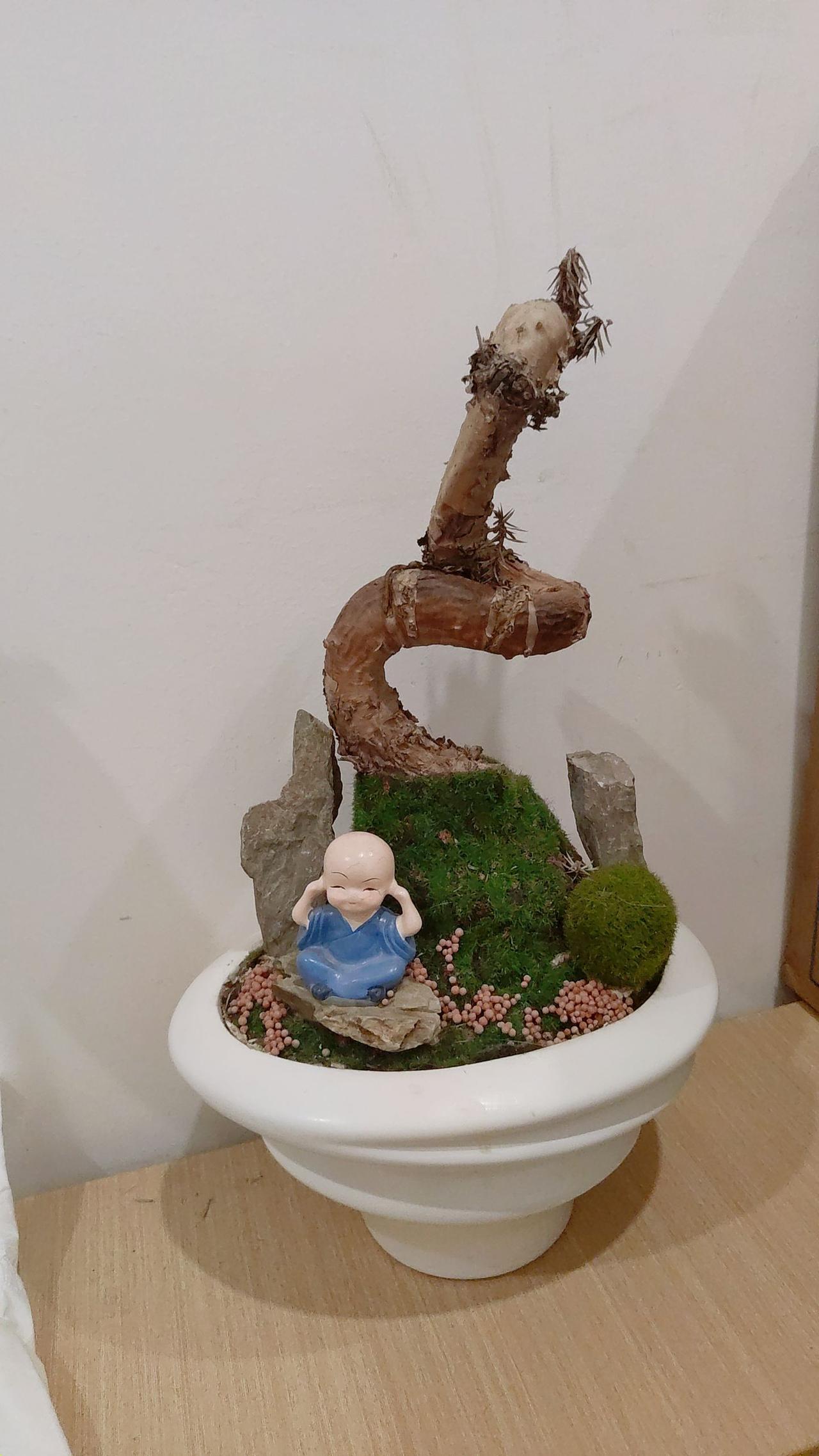 大家都出个主意，看能不能把花开在冬天里