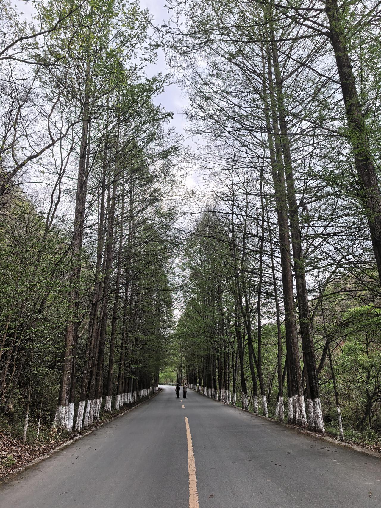 近年来，陕西汉中市留坝县乡村游风生水起，在周边市县很有一些影响，让临近的凤县、太
