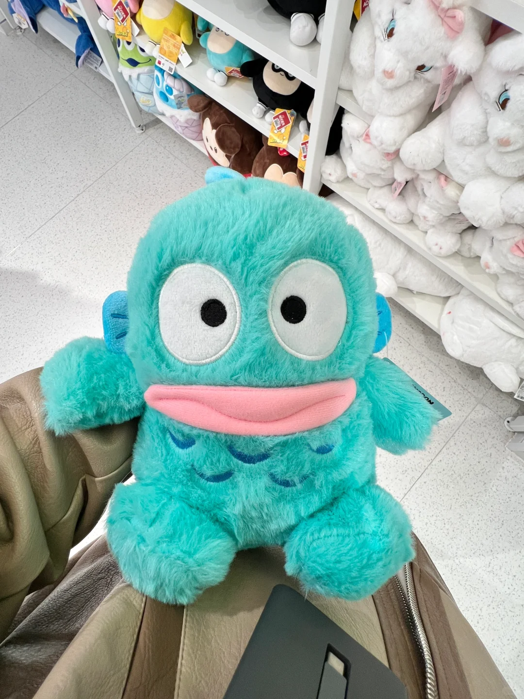 谁能来解释一下！！它为什么叫丑鱼啊啊啊？！？！