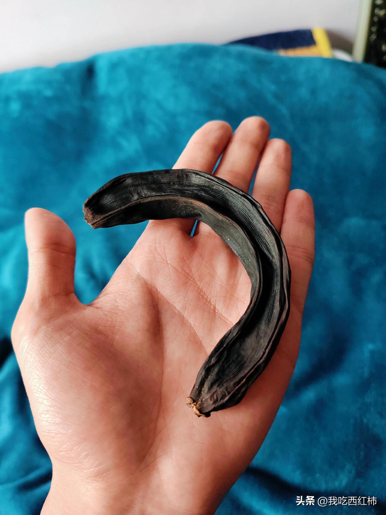 这根香蕉🍌，我藏了8年
18年上创意思维课，老师让每人带一根香蕉，发散思维想2