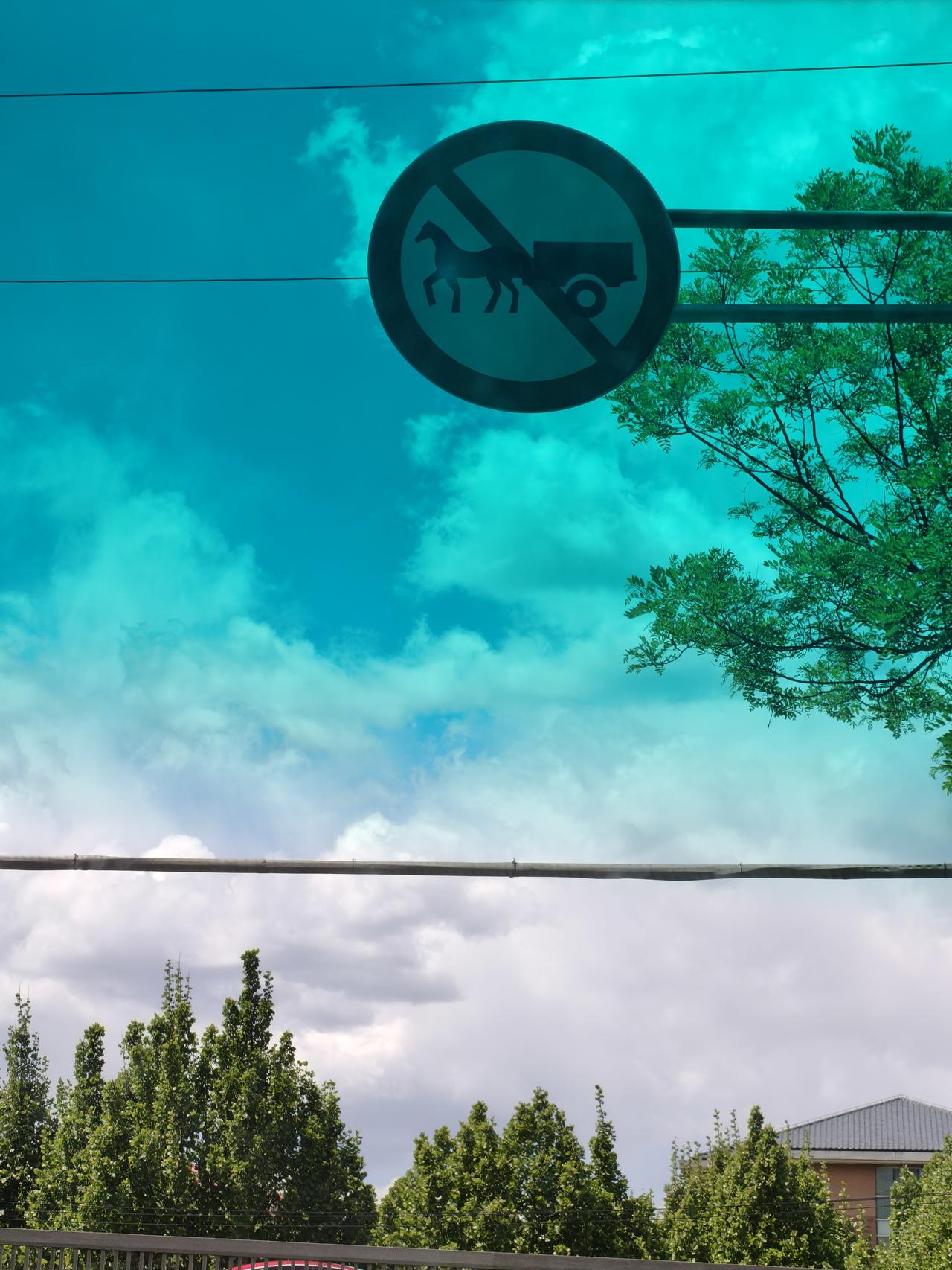 有句古语:不是不报，时候未到！