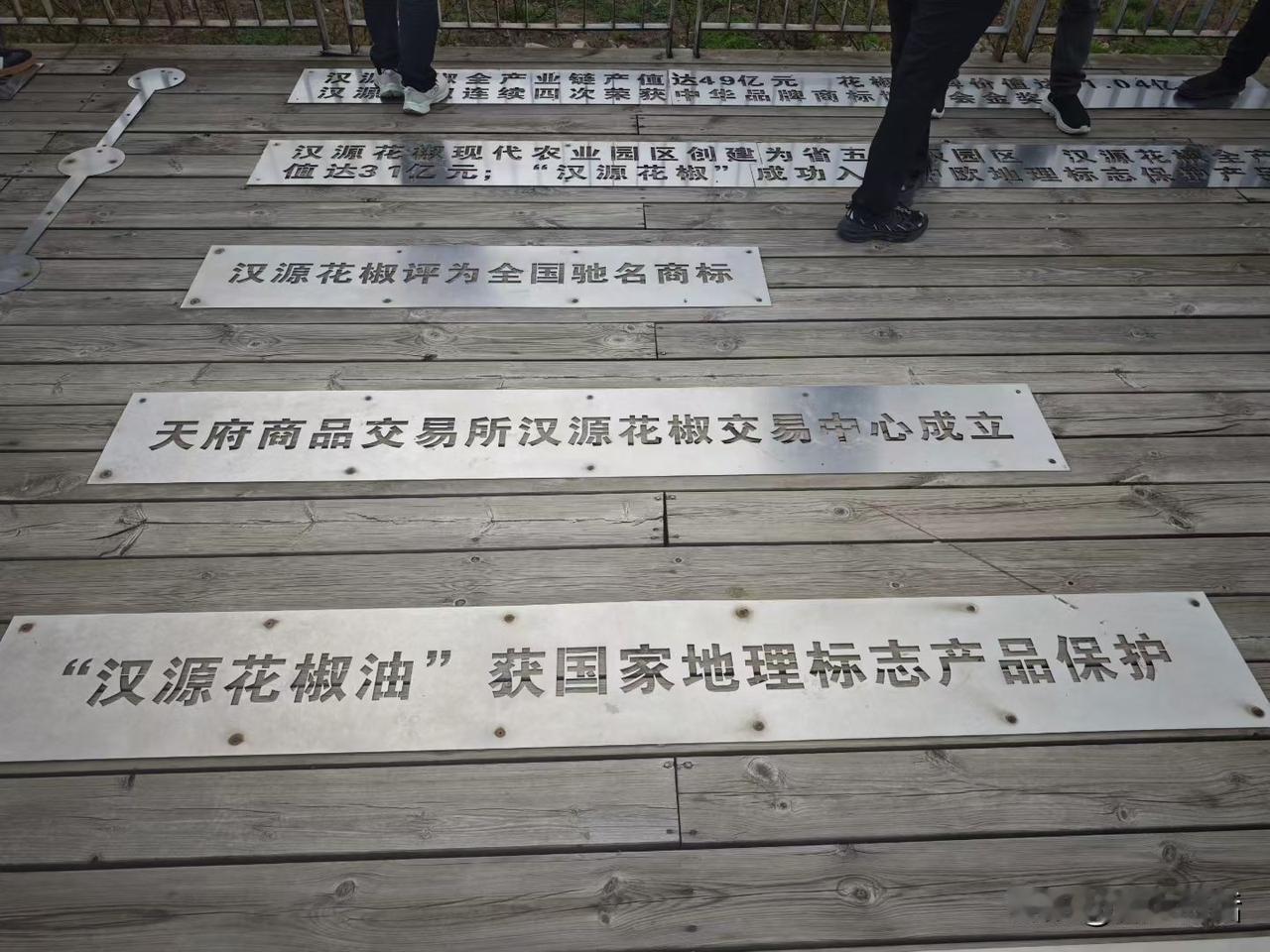 普通人这辈子有三次翻身的机会，第一个机会是运气，比如娶了谁，在某次风口上躺赚了一