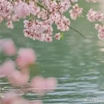 水中映着彩霞，水面游着花鸭。霞是五彩霞，鸭是麻花鸭。麻花鸭游进五彩霞，五彩霞网住