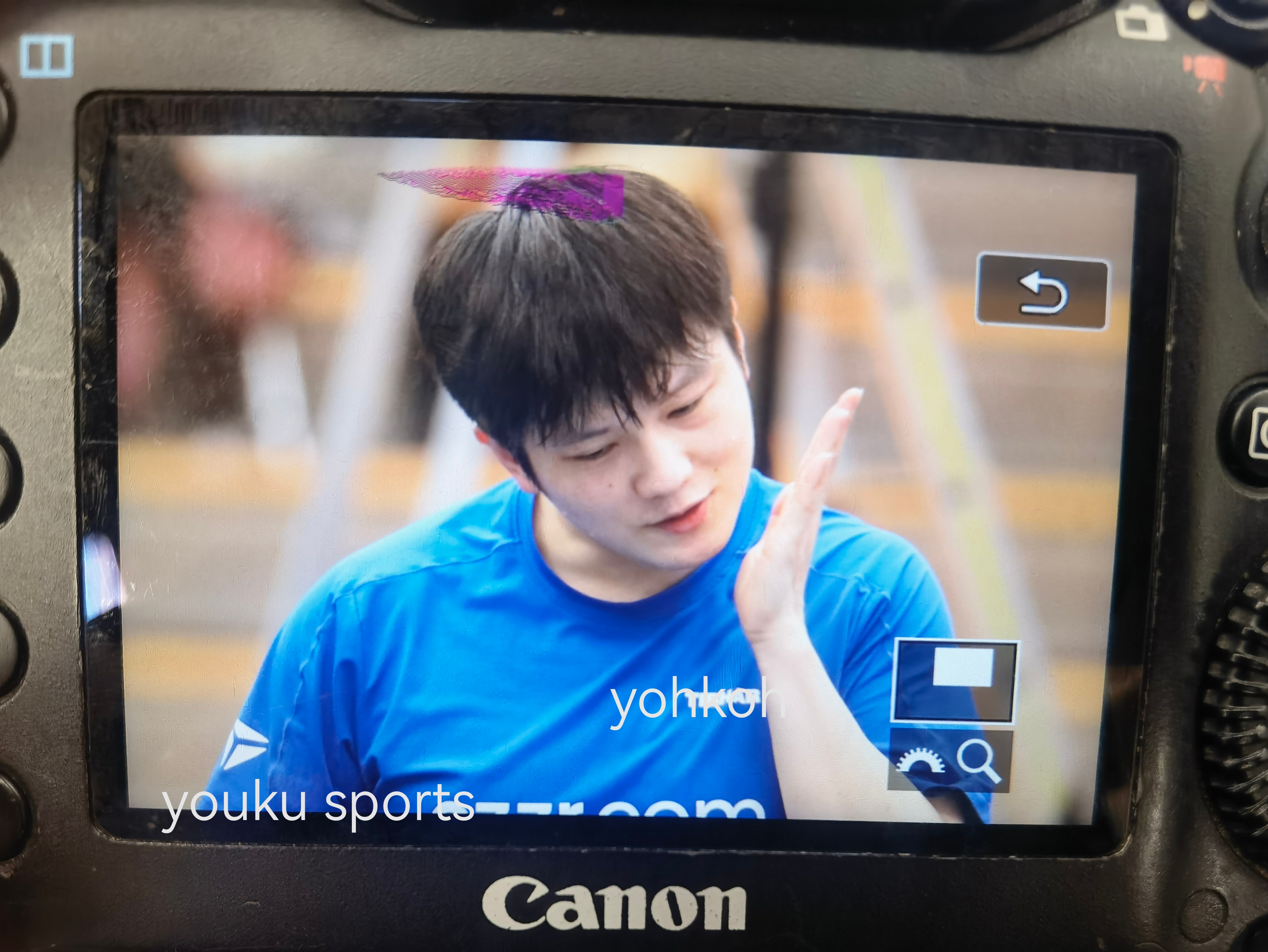 樊振东樊振东德甲德甲乒乓球联赛 气鼓鼓自己打自己的小熊