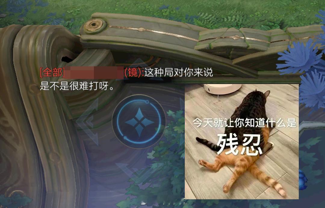 急急急，怎么回复这些嘲讽！#游戏星玩家# #王者荣耀[超话]# ​​​