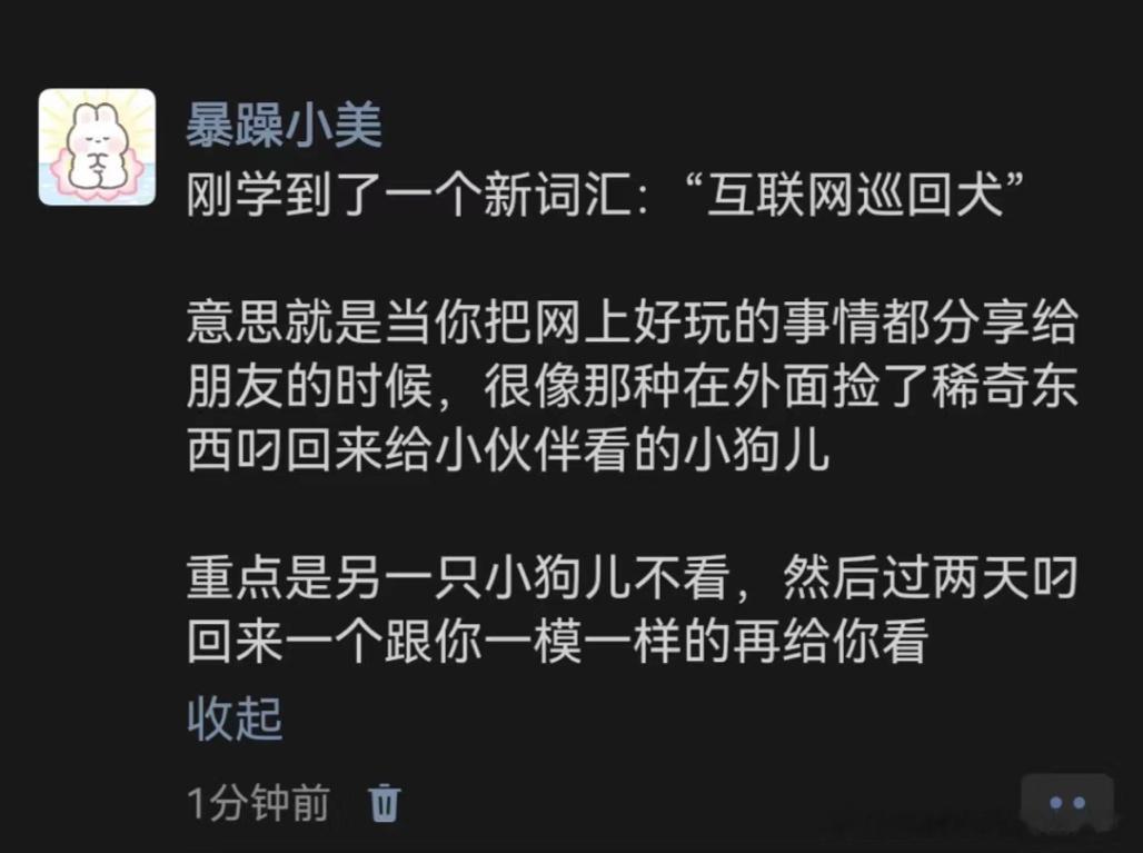 《互联网巡回犬》 ​​​