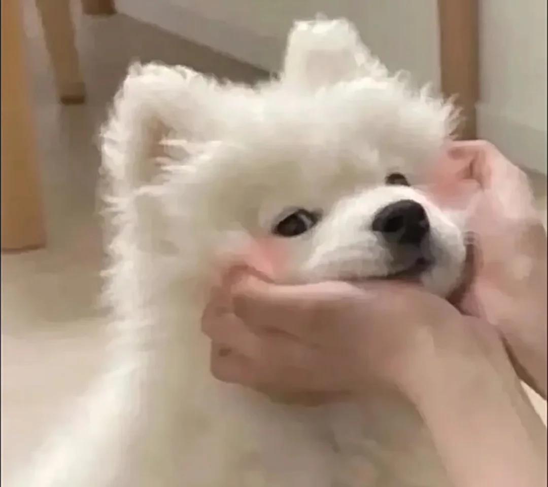 妈妈嘴上说讨厌爸爸但还是跟他结婚了