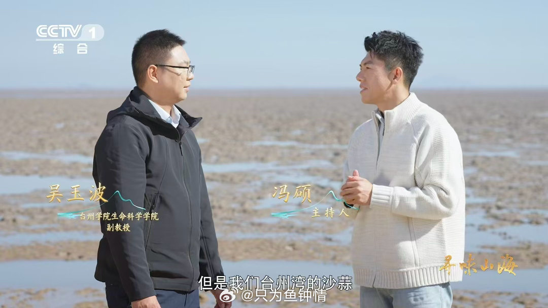 浙江有种长在海里的蒜沙蒜不是蒜是海鲜 台州湾这波赢麻了！咸淡水交汇养出的沙蒜肉质