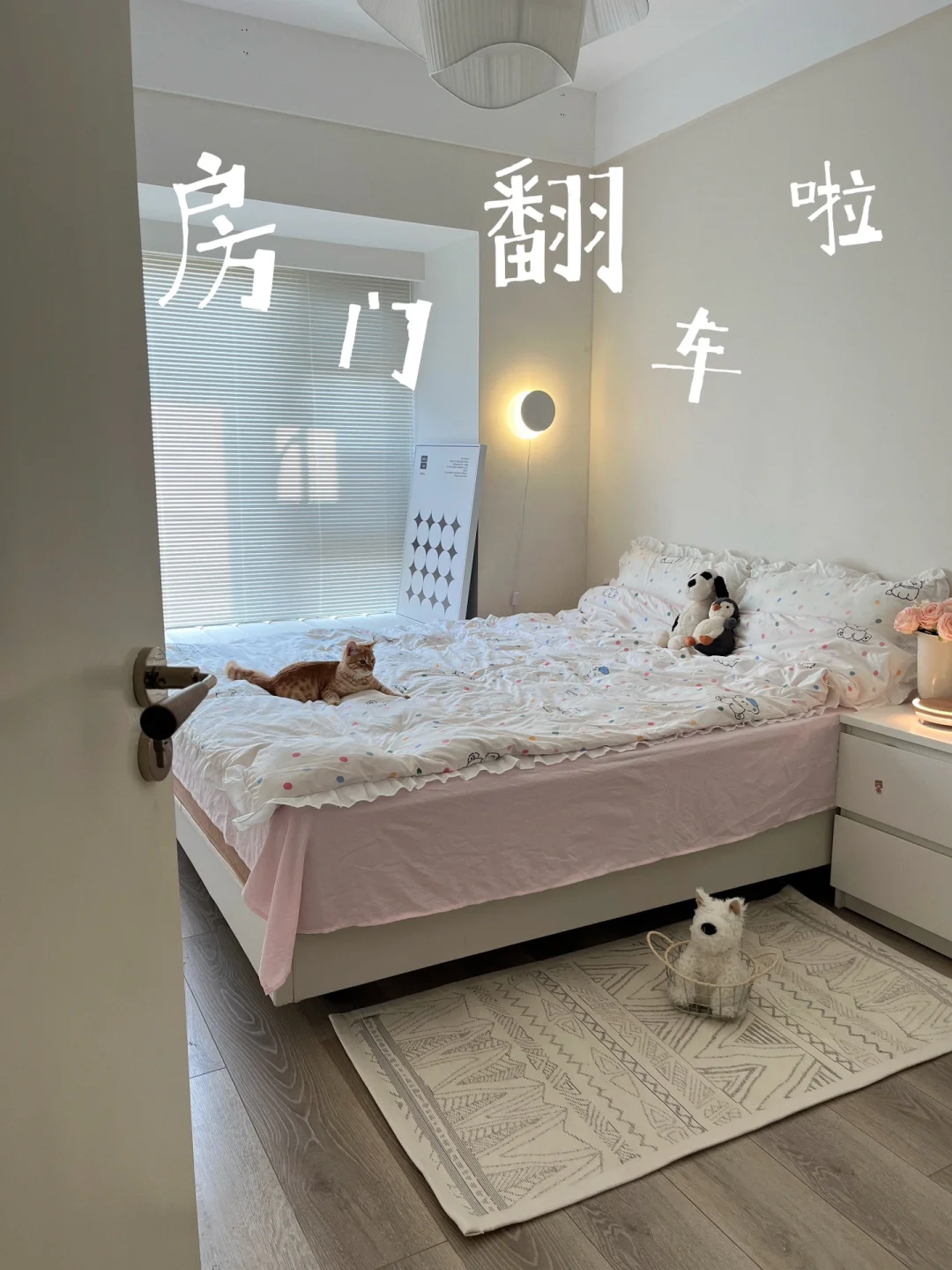 忍了2年，终于对我的房门下手了！