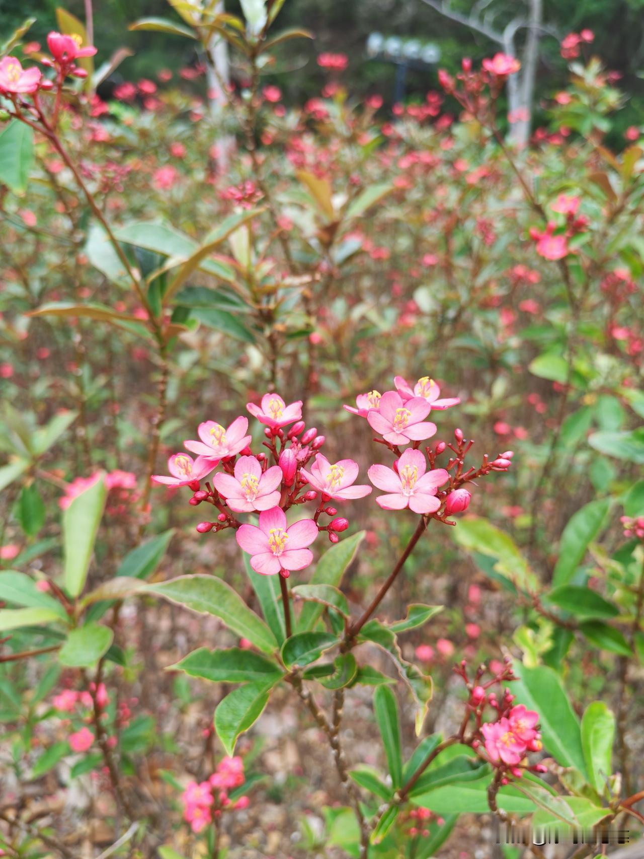 今天下机时，都回水了，却抽筋了，我立马起来，用脚使劲踩着地面，好一会才缓解。
 