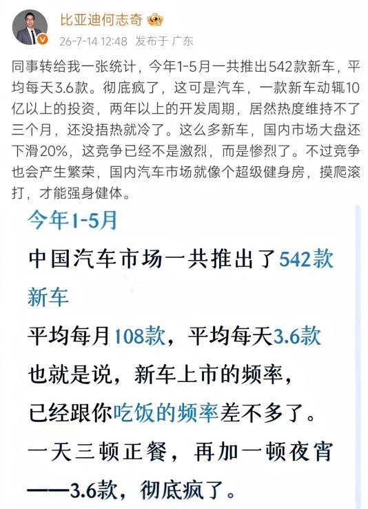 一天3.6台新车发布，实际上你关注到的能有几辆？竞争太过惨烈了，所以怎么会不亏损