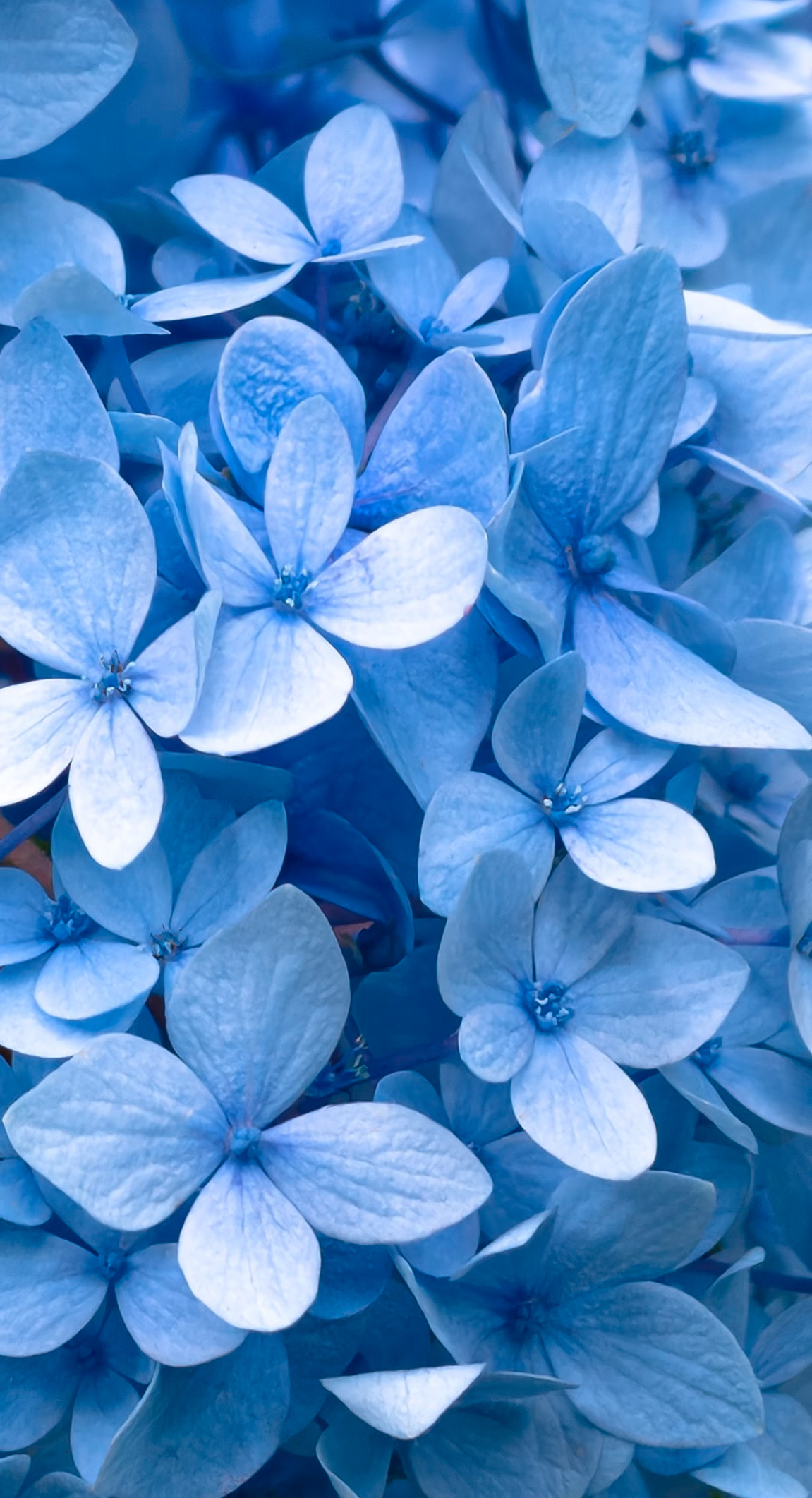 每日一善 💙每日一善   每个人的成长，都需要时 间沉淀。很多人不愿意努力，觉