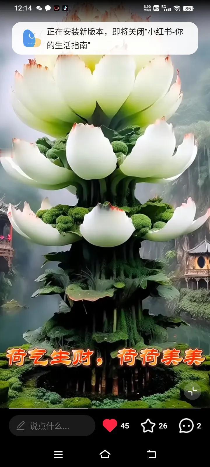 #年纪渐大了就会慢慢的喜欢独处吗?#年龄渐大可能会慢慢喜欢独处，但这不是绝对的。