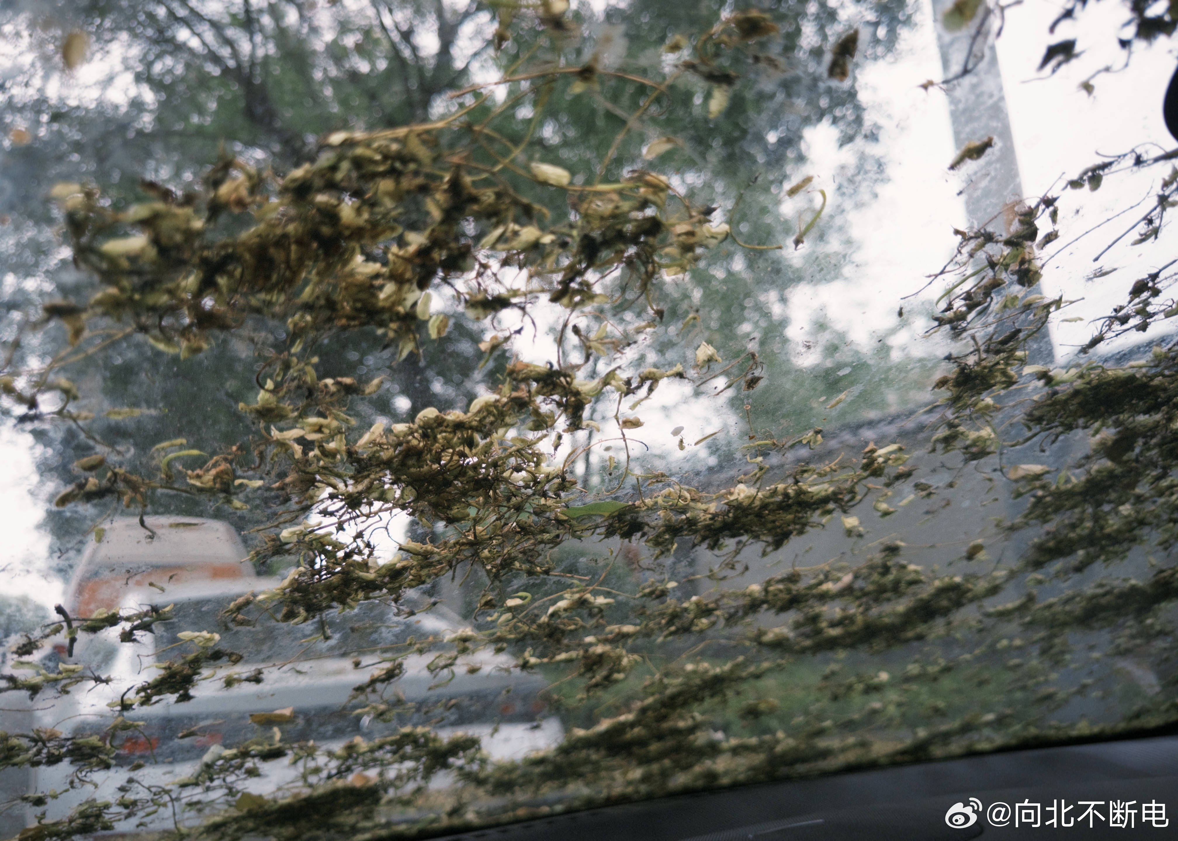 今天突然发现，停车场怎么少了一辆车？想了半天才发现有一辆车被我临时停在路边…已经