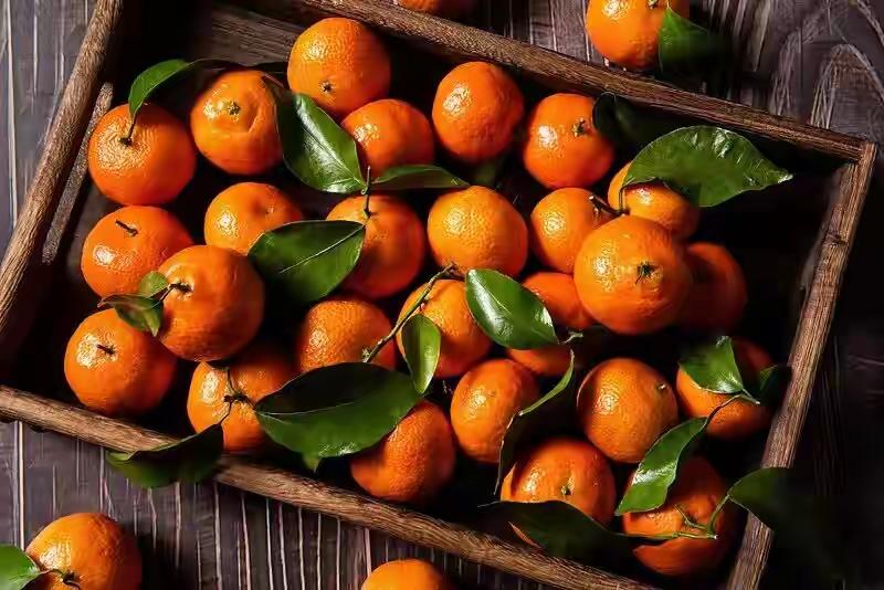 一口砂糖橘=甜蜜炸弹？别和这5类食物同桌，否则胃在求救、钱包在流血！


1️⃣