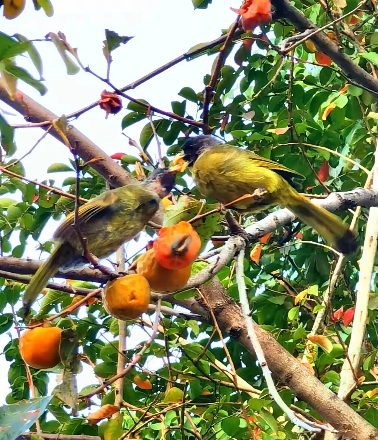人与人之间，可以走很近，也可以离得很远，如无共鸣，沉默即安。
